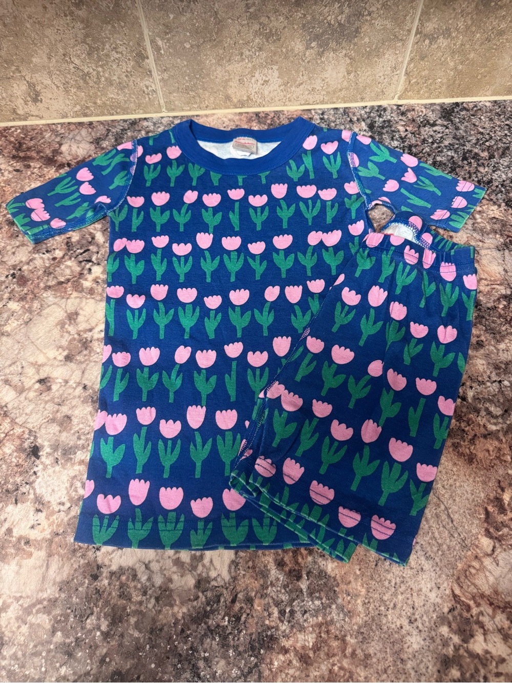 Hanna Andersson Blue Tulip Print Pajama Set - Pink & Green